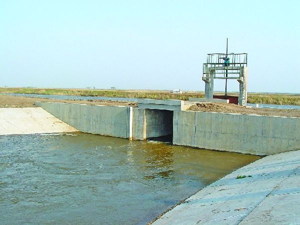 武汉江滩江堤整险加固工程 成为长江堤防水土保持样板工程